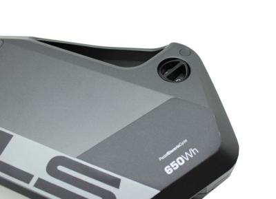Bulls Green Mover 17,5Ah 650Wh Unterrohr  Lavida Lacuba Alber / Neodrives  e-Bike Akku Produktbild 5