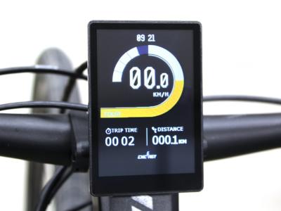 BMZ Display DS103 3,5" TFT + Remote E-Bike Produktbild 1