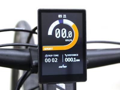 BMZ Display DS103 3,5" TFT + Remote E-Bike Produktbild 2