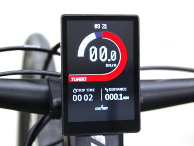 BMZ Display DS103 3,5" TFT + Remote E-Bike Produktbild 3