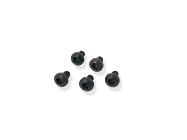 Schraube Linsenkopf T20 Torx M4 schwarz E-Bike Pedelec