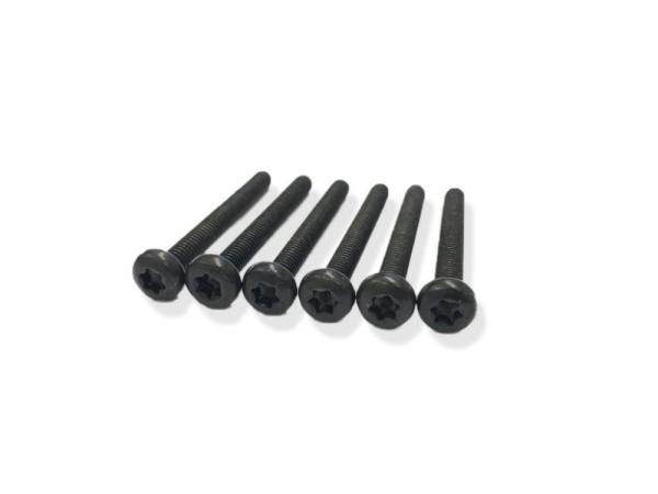 Schraube Linsenkopf T20 Torx M4 schwarz E-Bike Pedelec