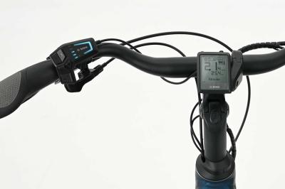Kreidler  Vitality Eco 7 Sport CX 50cm Shimano Cues 10-Gang / Bosch Perfomance Line CX / 625Wh / Disc  E-Bike Pedelec Produktbild 1