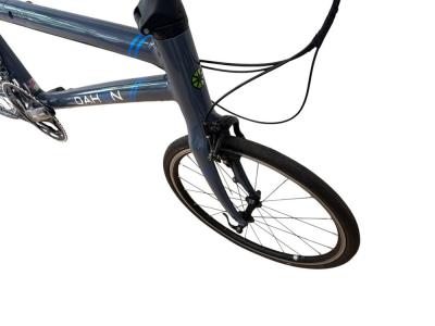 DAHON "Clinch D20" 20-Gang 20" Unisex Grau Blau Faltrad Klapprad kostenloser Versand Produktbild 7