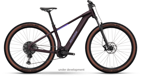 R Raymon Zorq Ultimate 29" floridplum M