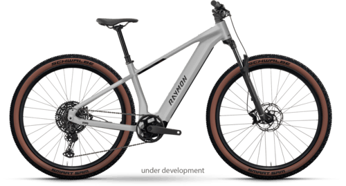 R Raymon Zorq Ultimate 29" stormwhite L