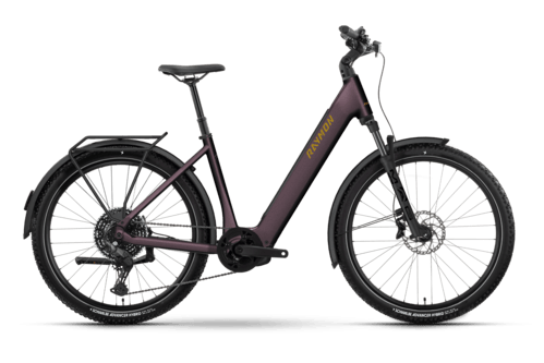 R Raymon Varno Ultra 27.5" plum noir L