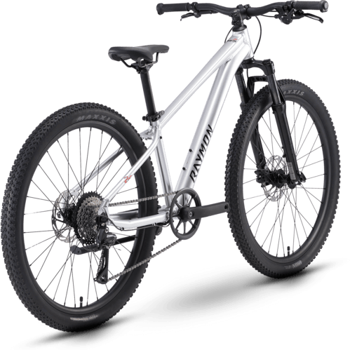 R Raymon Nayta 26 Pro 26" rawsilver uni