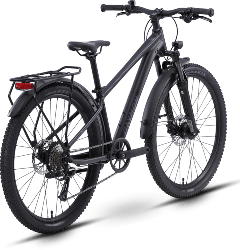 R Raymon Nayta 26 Pro Street 26" black chameleon uni