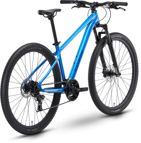 R Raymon Nayta Pure 29" sportsblue L