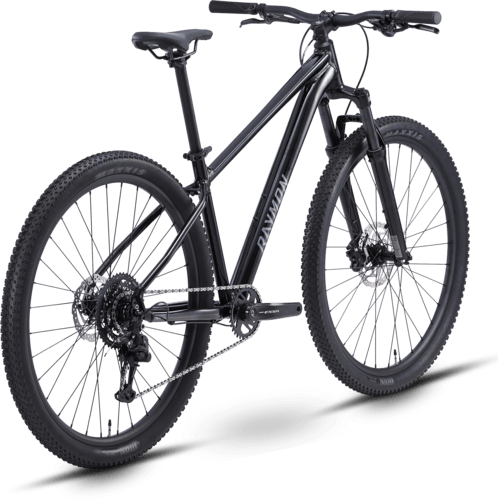 R Raymon Nayta Comp 27.5" black/chrome S
