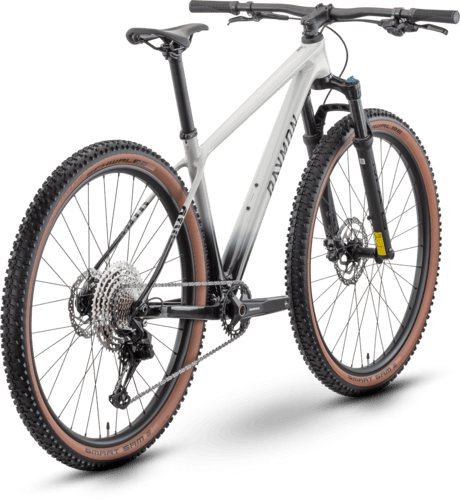 R Raymon Arid Comp 29" starwhite/carbon L