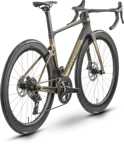 R Raymon Arva Elite 28" multigold/carbon 60