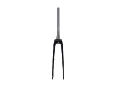 Trek Fork Rigid Trek-Diamant 700x45 Carbon Thru-Skw GLT Produktbild 1