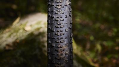 Bontrager Reifen Bontrager Sainte-Anne RSL XR 29x2.40 TLR Bl Produktbild 4