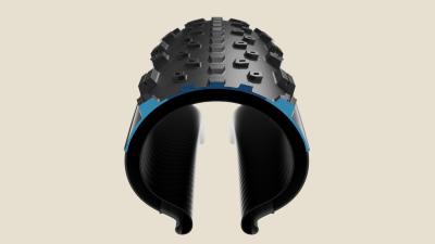 Bontrager Reifen Bontrager Sainte-Anne RSL XR 29x2.40 TLR Bl Produktbild 6