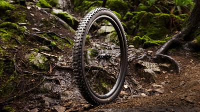 Bontrager Reifen Bontrager Brevard RSL SE 27.5x2.5 TLR Black Produktbild 3