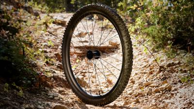 Bontrager Reifen Bontrager Gunnison Pro XR 29x2.60 TLR Produktbild 3