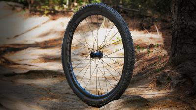 Bontrager Reifen Bontrager Sainte-Anne Pro XR 29x2.40 TLR Bl Produktbild 3