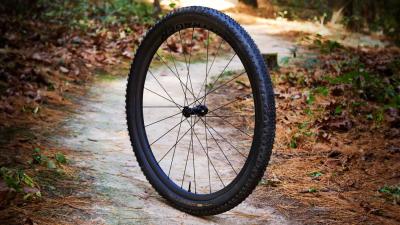 Bontrager Reifen Bontrager Vallnord RSL XR 29x2.40 TLR Produktbild 3