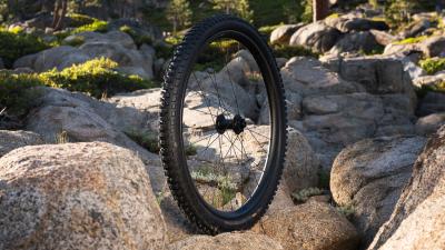 Bontrager Reifen Bontrager Galbraith RSL SE 29x2.50 Black Produktbild 3
