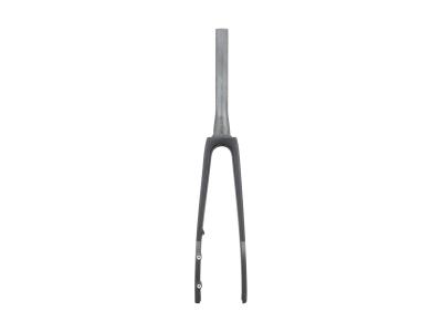 Trek Fork Rigid Madone SLR 2025 S/M Matte/Gloss Carbon Produktbild 1