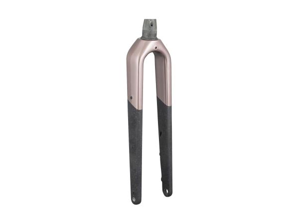Trek Fork Rigid Trek 2025 Checkpoint SL 7 Bronze Age/Ca
