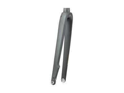 Trek Fork Rigid Trek 2025 Domane+ AL 48R Lithium Grey Produktbild 1