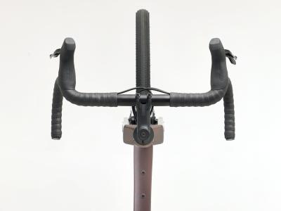 Trek Checkpoint ALR 5 S Bronze Age Produktbild 2