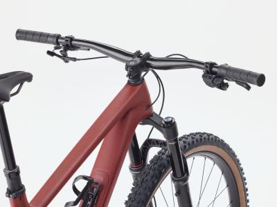 Trek Top Fuel 9.8 XL Matte Sedona Red/ Pennyflake Produktbild 2