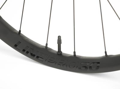 Bontrager Vorderrad Bontrager Line Pro 30 TLR 29 Disc 110mm Produktbild 3