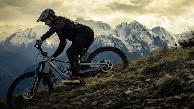 Trek Slash 9.9 S 27.5 Matte Chameleon Green /Dark Web Produktbild 8