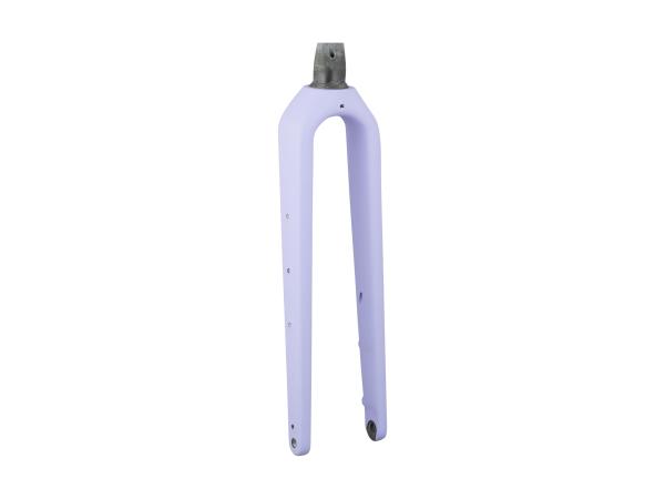 Trek Fork Rigid Trek 2026 Checkpoint ALR 3 49 Rake Lave