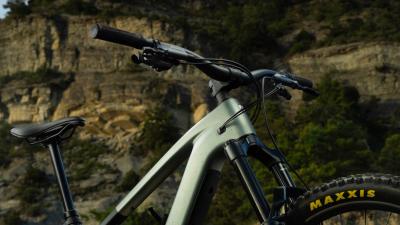 Trek Fuel+ Carbon F/S G2 L Carbon Smoke/Lithium Grey Ma Produktbild 4