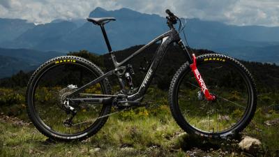 Trek Fuel+ Carbon F/S G2 L Carbon Smoke/Lithium Grey Ma Produktbild 6