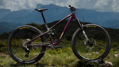 Trek Fuel LX 9.8 XT XXL Miami Green / Aloha Marble Produktbild 5