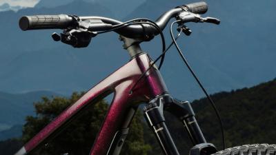 Trek Fuel LX 9.9 X0 AXS S Miami Green / Aloha Marble Produktbild 3