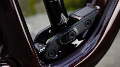 Trek Fuel EX 9.9 X0 AXS S Gloss Chameleon Green /Matte Produktbild 5