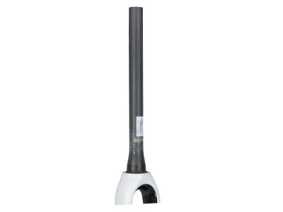 Trek Fork Rigid Trek Boone Disc F/S Trek White Produktbild 1