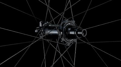 Bontrager Hinterrad Bontrager Line Pro 30 29 Disc 148mm Blac Produktbild 10