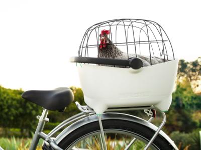 Electra Basket Electra Basil Pet Carrier Electra White Produktbild 2