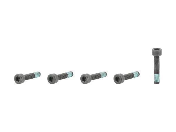 Trek Fastener Trek M5x0.8x25mm Sckt H-Cap 10.9 Thrdlock
