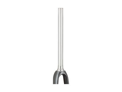Trek Fork Rigid Trek Domane AL5D 48R Lithium Grey/Trek Produktbild 1