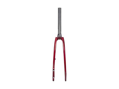 Trek Fork Rigid Trek Domane SL 5 53R ST Rage Red/Deep D Produktbild 1