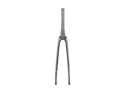 Trek Fork Rigid Trek Madone SLR 45R Dark Prismatic/Trek Produktbild 1