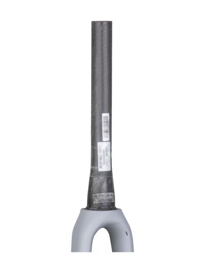 Trek Fork Rigid Trek Emonda ALR5 Disc 56-62cm Gravel/Qu Produktbild 1