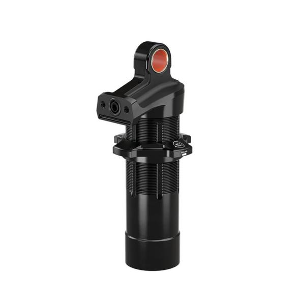 Gabel DecalKit RockShox Dual Crown