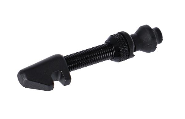 DT Swiss Ventil Tubeless Cyl Nut  