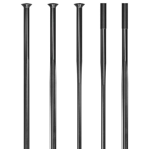 Speichen DT Swiss Complite Straightpull