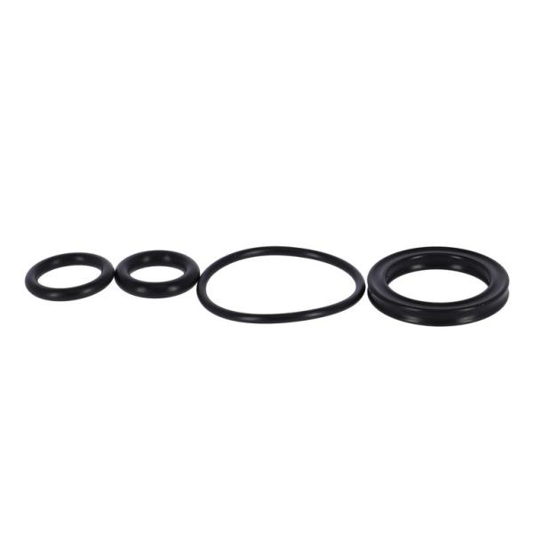 SR-Suntour Oil Seal Kit SR Suntour RS